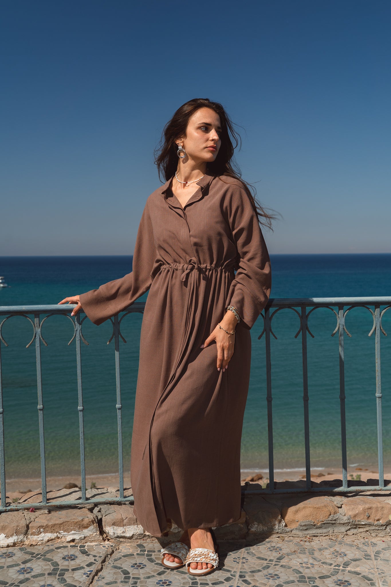 Daisy Dress in Brown