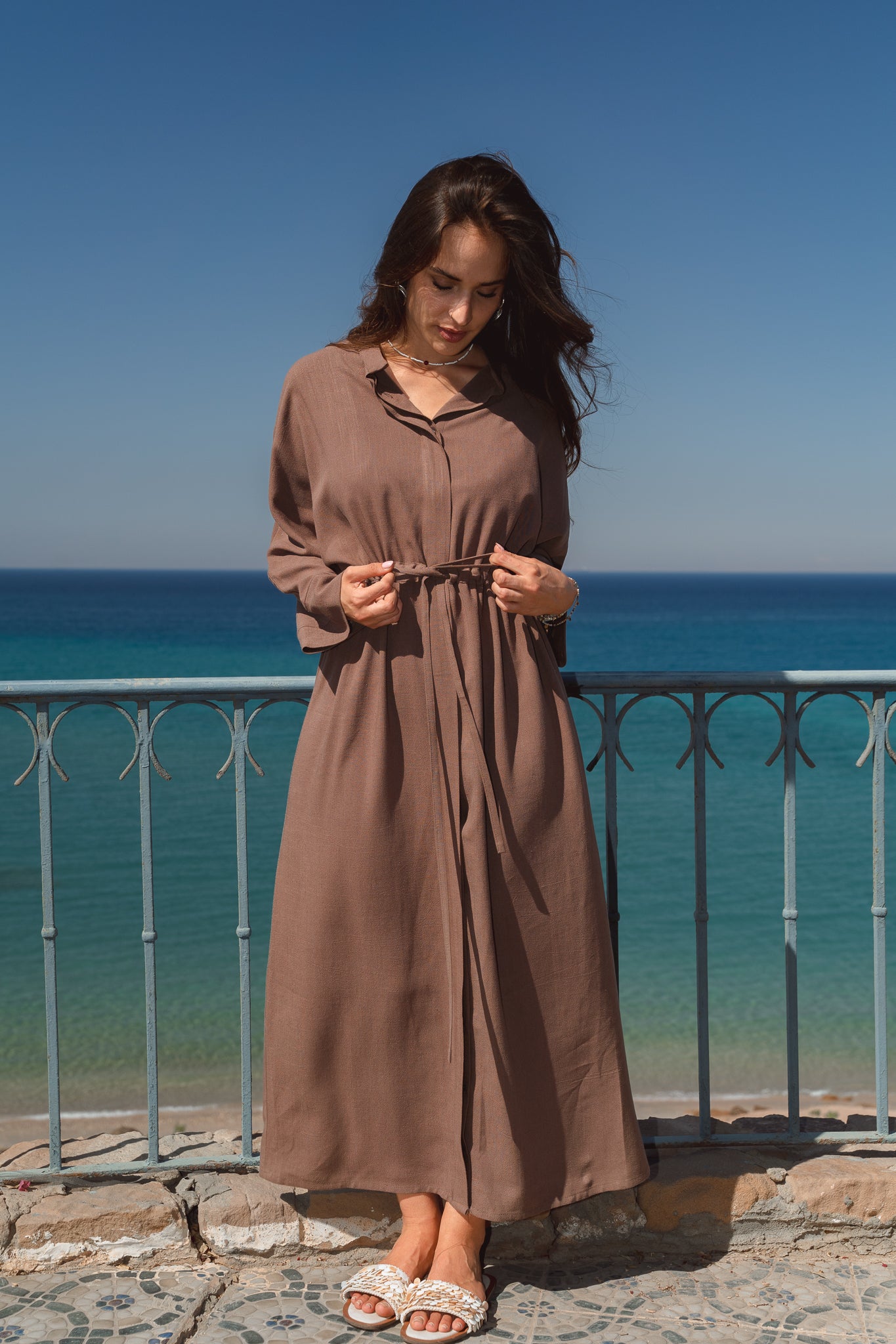 Daisy Dress in Brown