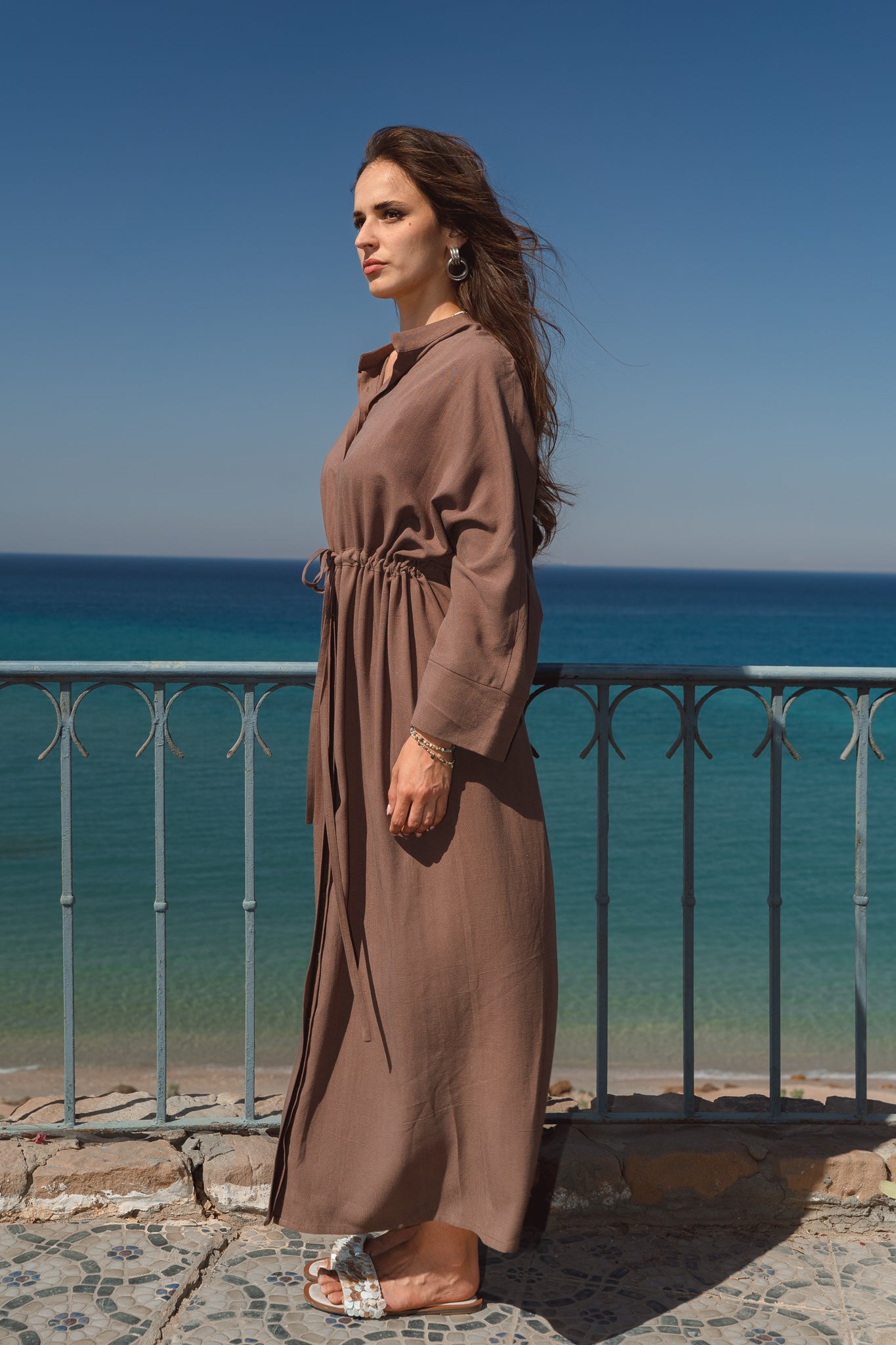 Daisy Dress in Brown