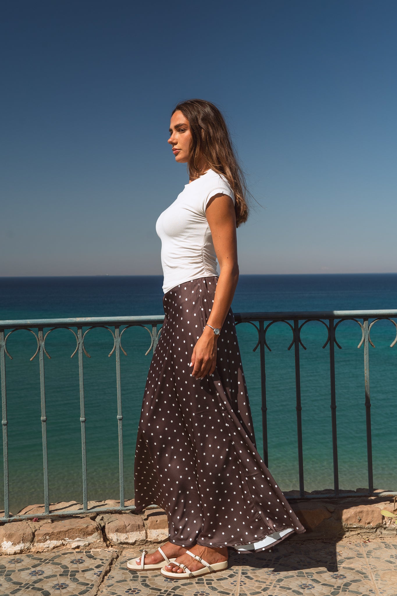 Sweet Pea Skirt in Brown