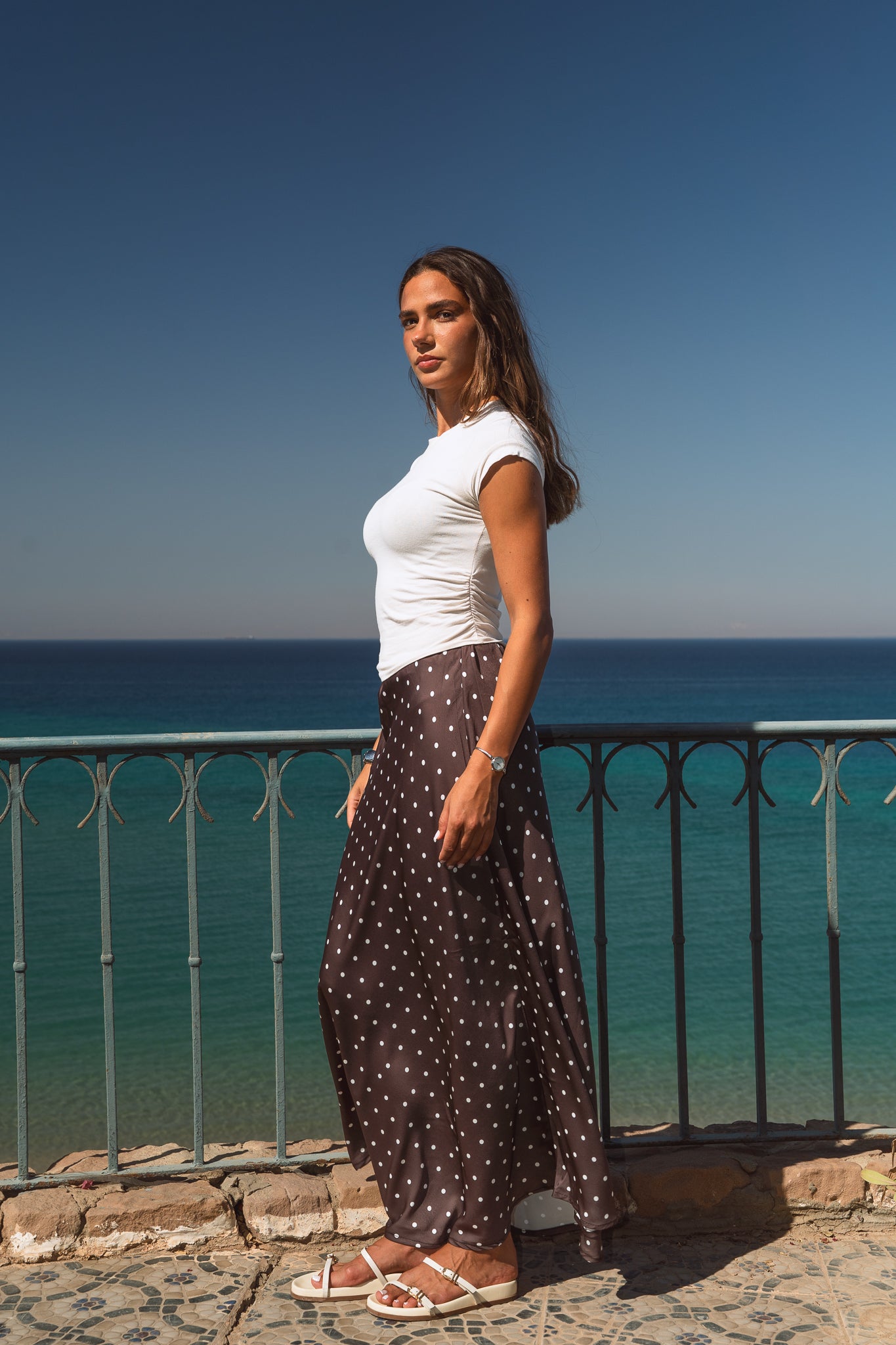 Sweet Pea Skirt in Brown