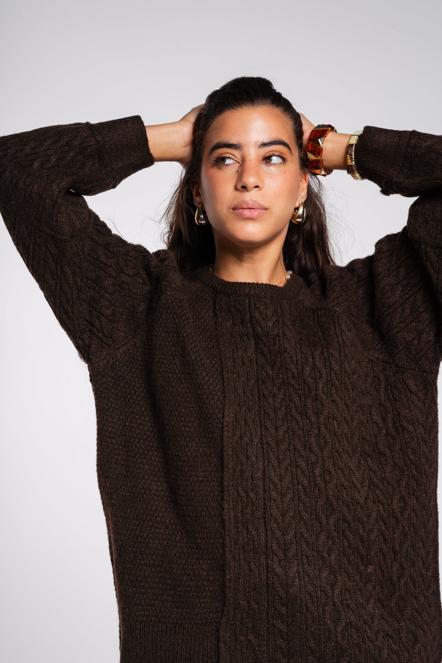 See Me Braids Pullover in Brown