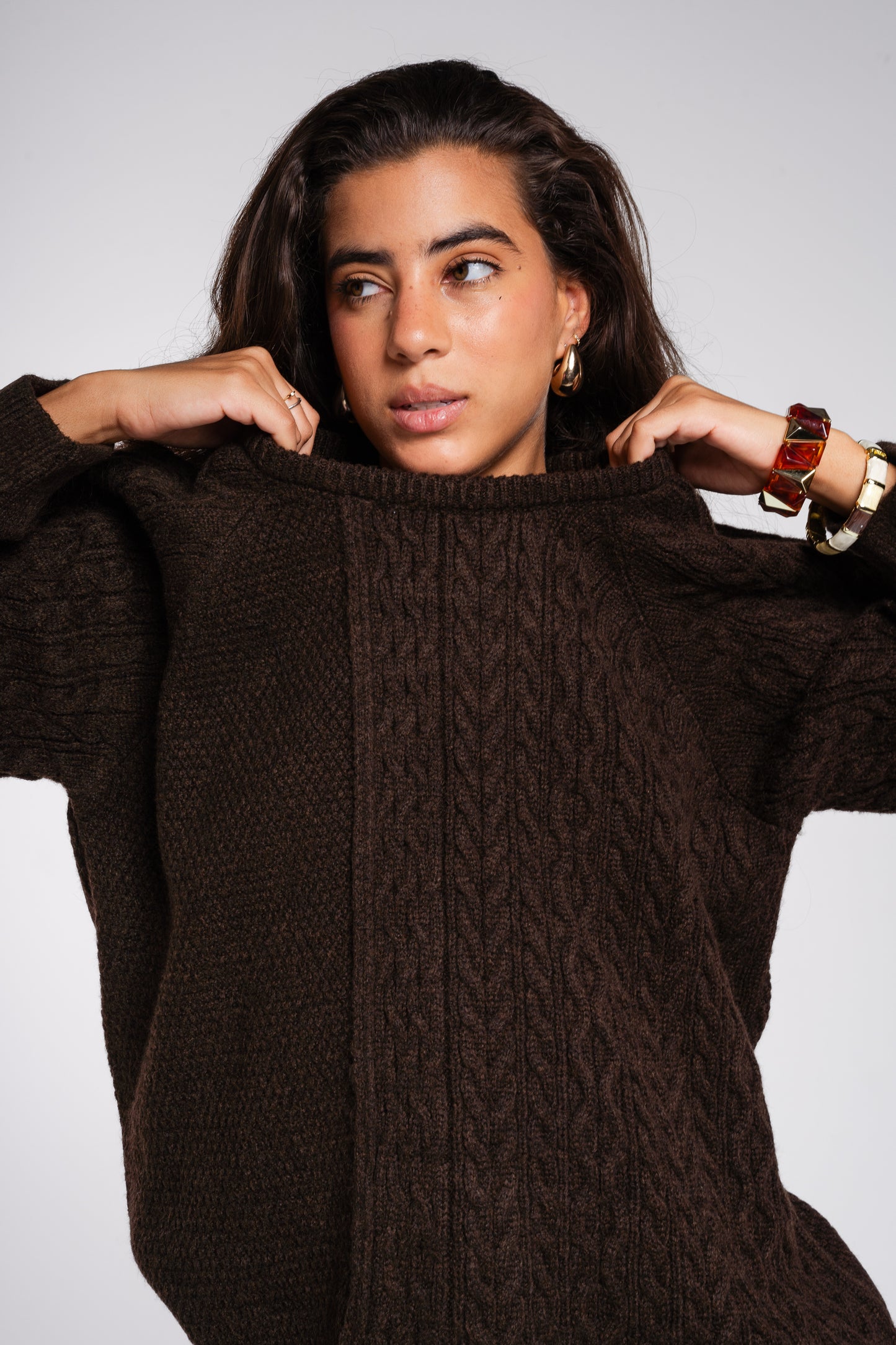 See Me Braids Pullover in Brown